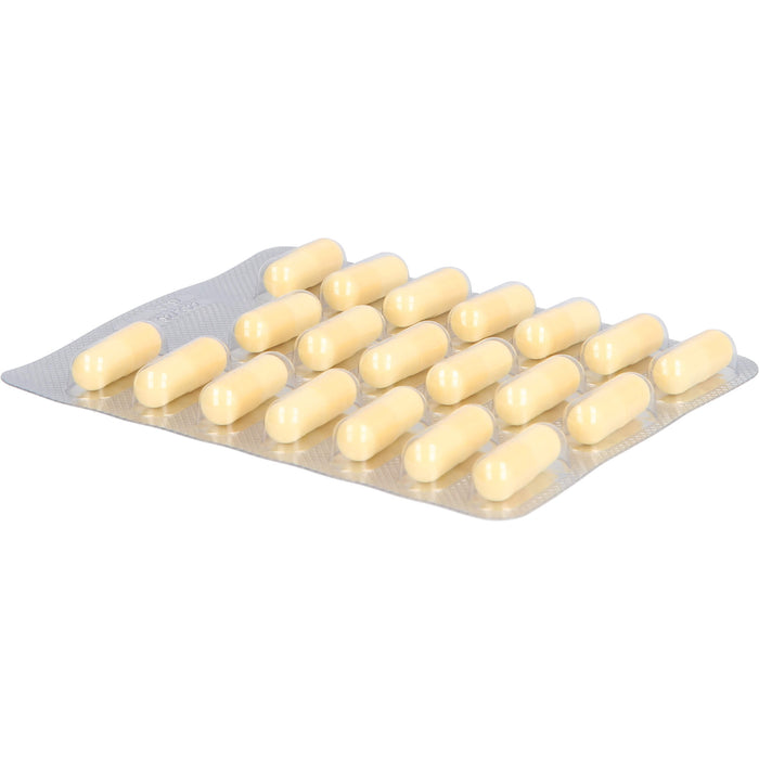 MAPURIT Kapseln, 40 pc Capsules