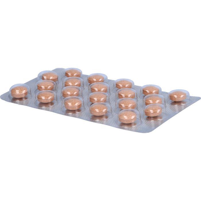 SanFerin Tabletten, 80 pcs. Tablets