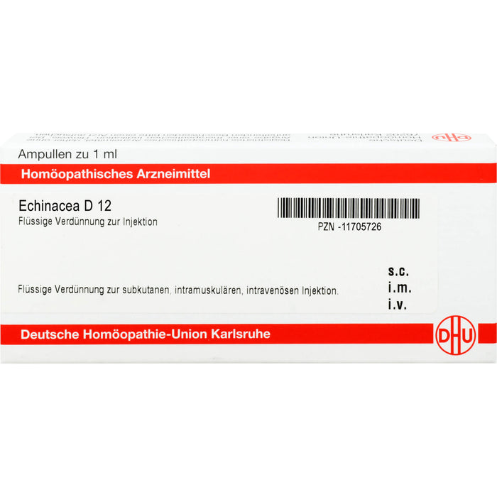 DHU Echinacea D12 Ampullen, 8 St. Ampullen