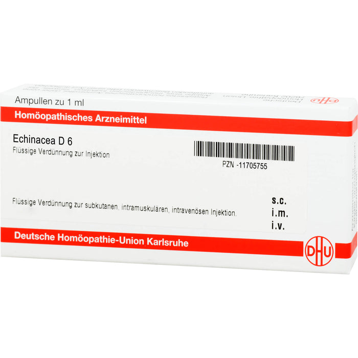 DHU Echinacea D 6 Flüssige Verdünnung, 8 pcs. Ampoules