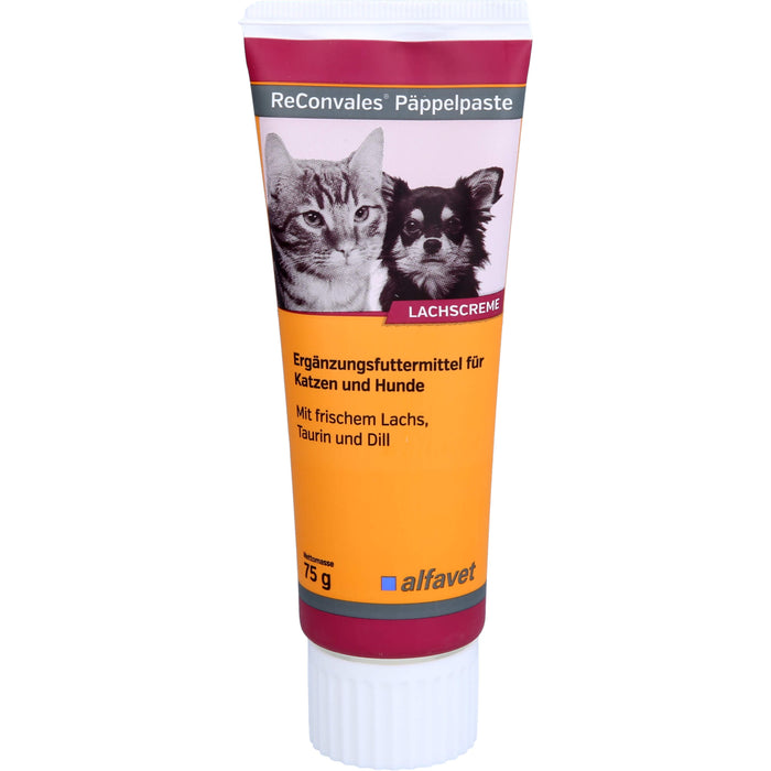 ReConvales Päppelpaste vet, 75 g PST