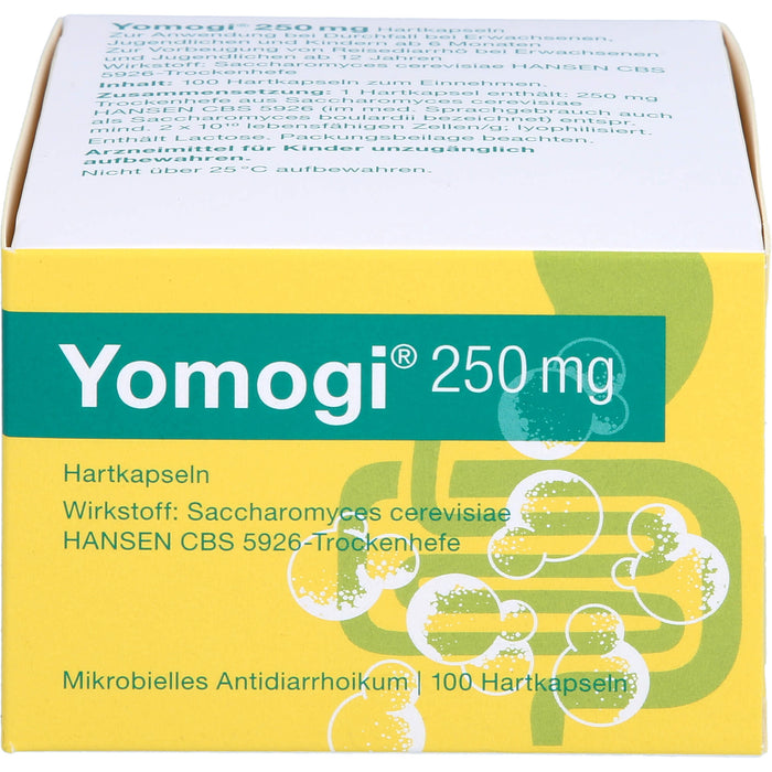 Yomogi 250 mg, Hartkapseln, 100 St HKP