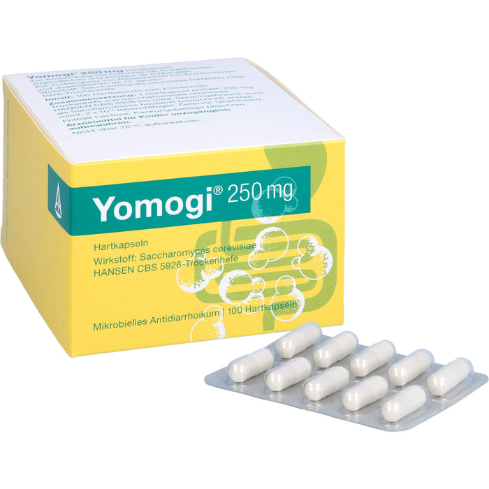 Yomogi 250 mg, Hartkapseln, 100 St HKP