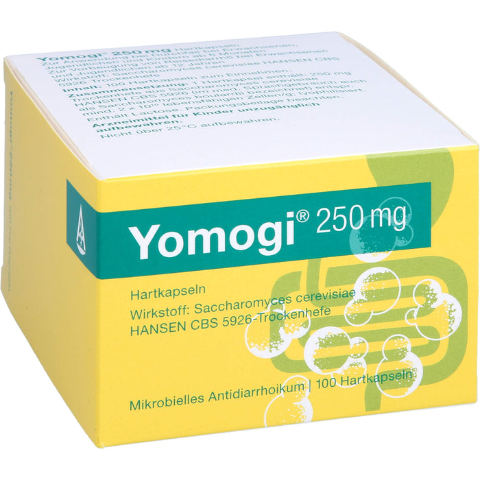 Yomogi 250 mg, Hartkapseln, 100 St HKP