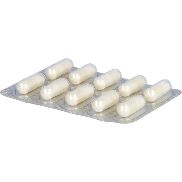 LACTIBIAN ATB-Protekt 12M, 10 pc Capsules