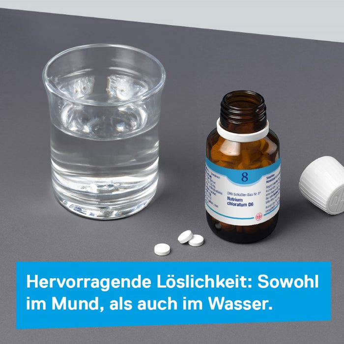 DHU Schüßler-Salz Nr. 8 Natrium chloratum D6 – Das Mineralsalz des Flüssigkeitshaushalts – das Original – umweltfreundlich im Arzneiglas, 420 pc Tablettes