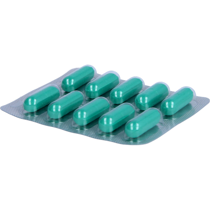 Hepar-SL 640 mg Filmtabletten bei Verdauungsstörungen, 20 pc Tablettes