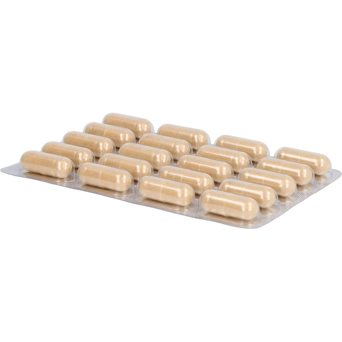 sanhelios F-BRN Kapseln, 100 pc Capsules