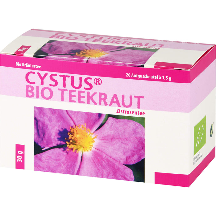 Dr. Pandalis Cystus Bio Teekraut, 20 pcs. Filter bag