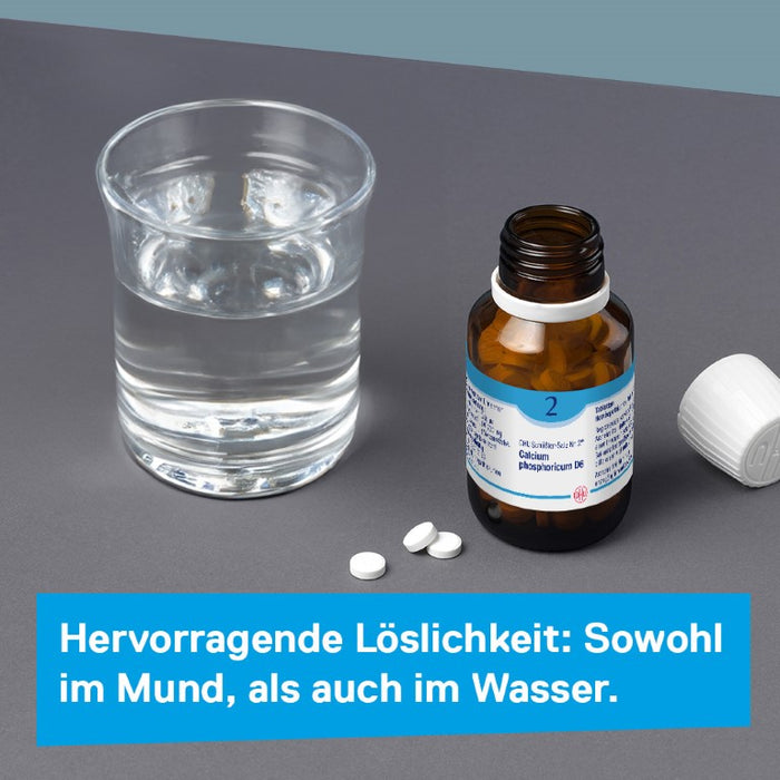 DHU Schüßler-Salz Nr. 2 Calcium phosphoricum D12 – Das Mineralsalz der Knochen und Zähne – das Original – umweltfreundlich im Arzneiglas, 420 St. Tabletten