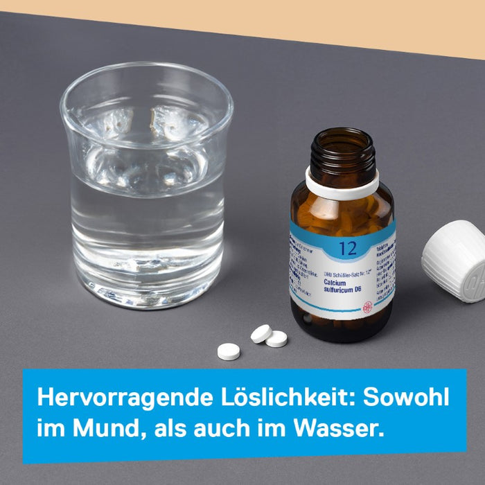 DHU Schüßler-Salz Nr. 12 Calcium sulfuricum D12 – Das Mineralsalz der Gelenke – das Original – umweltfreundlich im Arzneiglas, 80 pc Tablettes