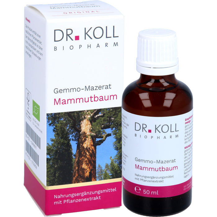 Gemmo-Mazerat Mammutbaum Dr. Koll Sequoia gigantea, 50 ml TRO