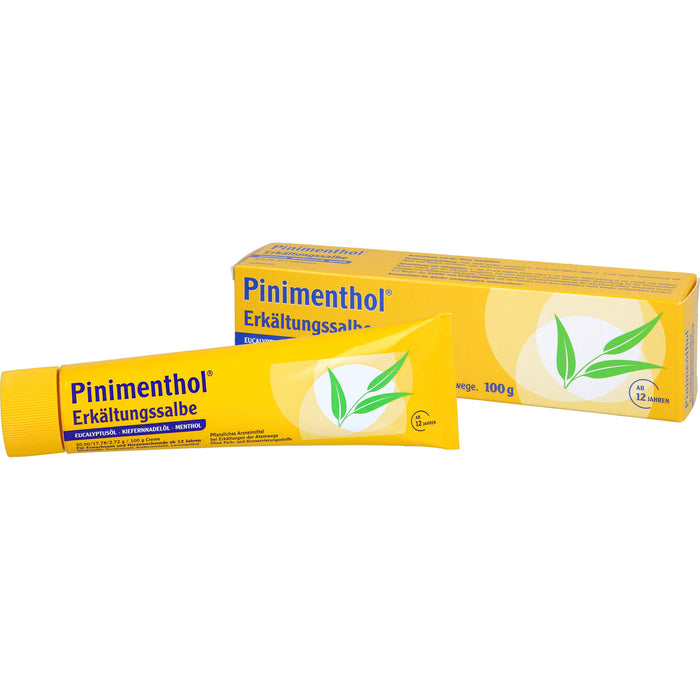 Pinimenthol Erkältungssalbe, 100 g Crème