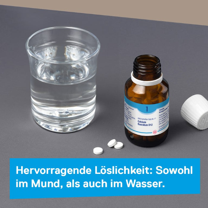 DHU Schüßler-Salz Nr. 1 Calcium fluoratum D6 – Das Mineralsalz des Bindegewebes, der Gelenke und Haut – das Original – umweltfreundlich im Arzneiglas, 80 pc Tablettes