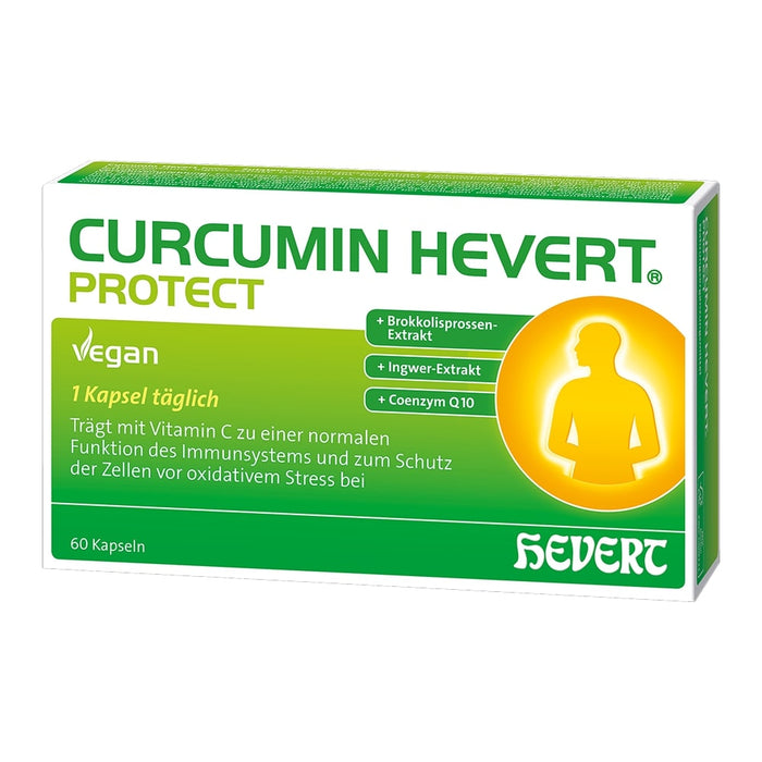 Curcumin Hevert Protect 60 Kapseln, 60 pc Capsules