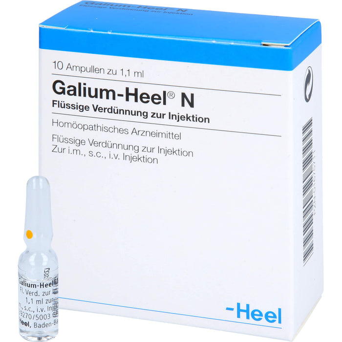 Galium-Heel N Ampullen, 10 St. Ampullen