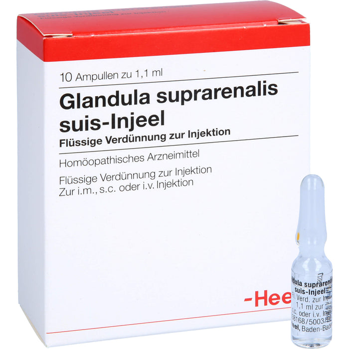 Glandula suprarenalis suis-Injeel Ampullen, 10 pc Ampoules