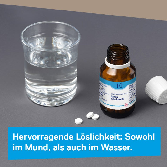 DHU Schüßler-Salz Nr. 10 Natrium sulfuricum D6 – Das Mineralsalz der inneren Reinigung – das Original – umweltfreundlich im Arzneiglas, 80 St. Tabletten