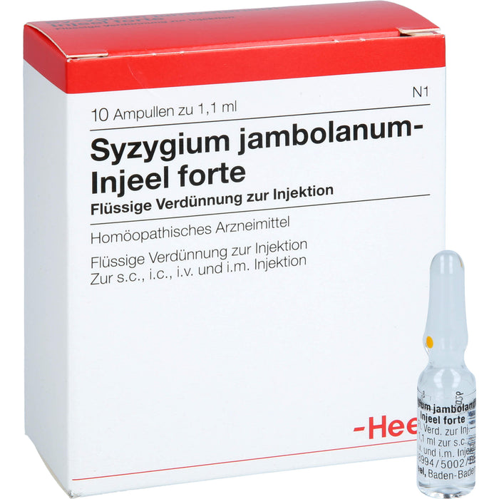 Syzygium jambolanum Injeel forte Amp., 10 St AMP