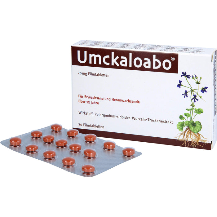 Umckaloabo 20 mg Filmtabletten, 30 St. Tabletten