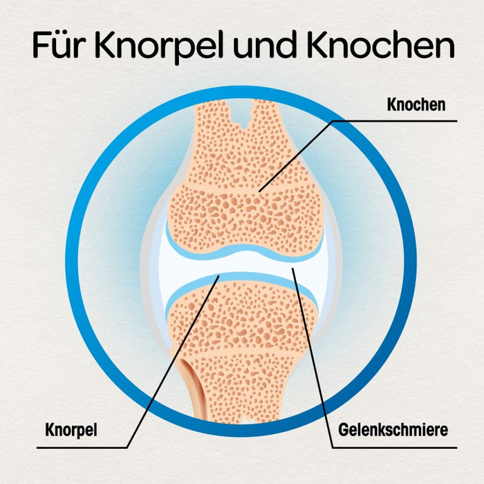 Dr Böhm Gelenke & Knorpel Tabletten, 60 St. Tabletten