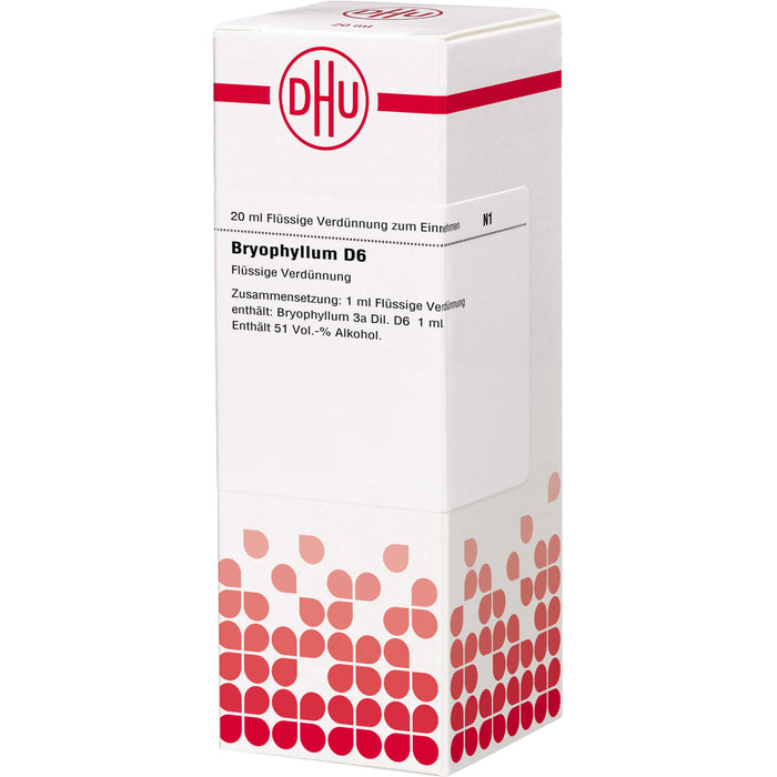 Bryophyllum D6 DHU Dilution, 20 ml DIL