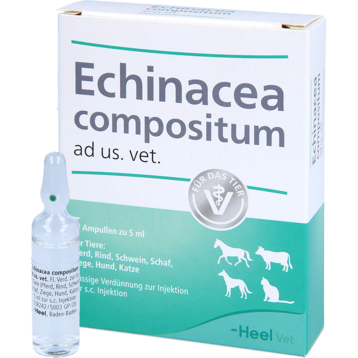 Heel Echinacea compositum ad us. vet. flüssige Verdünnung, 5 pc Ampoules