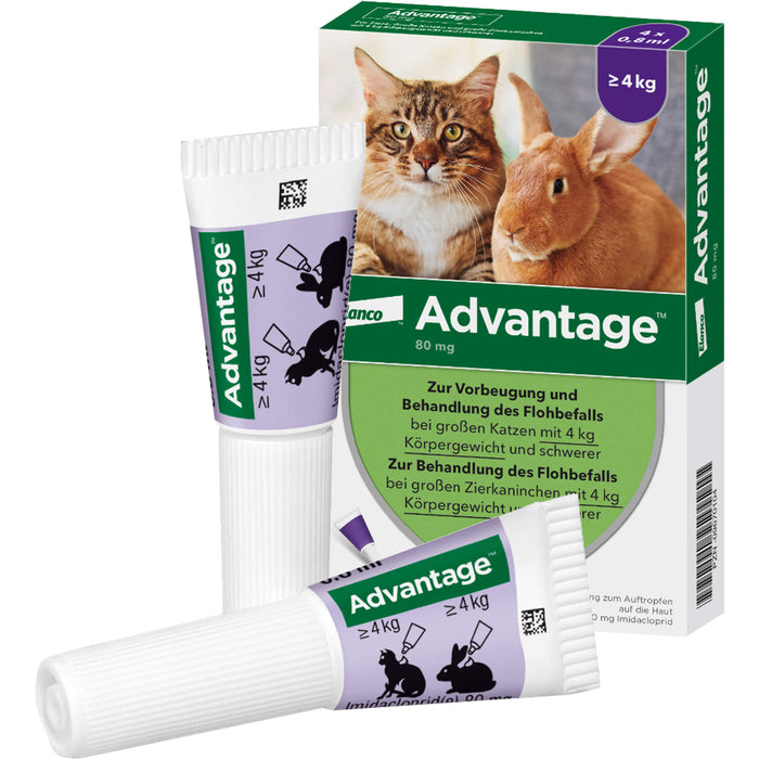 Advantage 80 mg für Katzen und Zierkaninchen über 4 kg Lösung, 3.2 ml Lösung