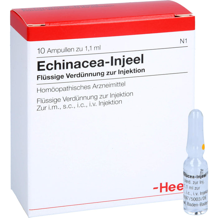 Echinacea-Injeel flüssige Verdünnung, 10 pcs. Ampoules