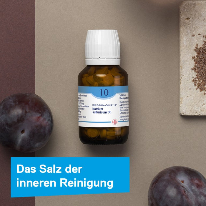 DHU Schüßler-Salz Nr. 10 Natrium sulfuricum D6 – Das Mineralsalz der inneren Reinigung – das Original – umweltfreundlich im Arzneiglas, 80 St. Tabletten