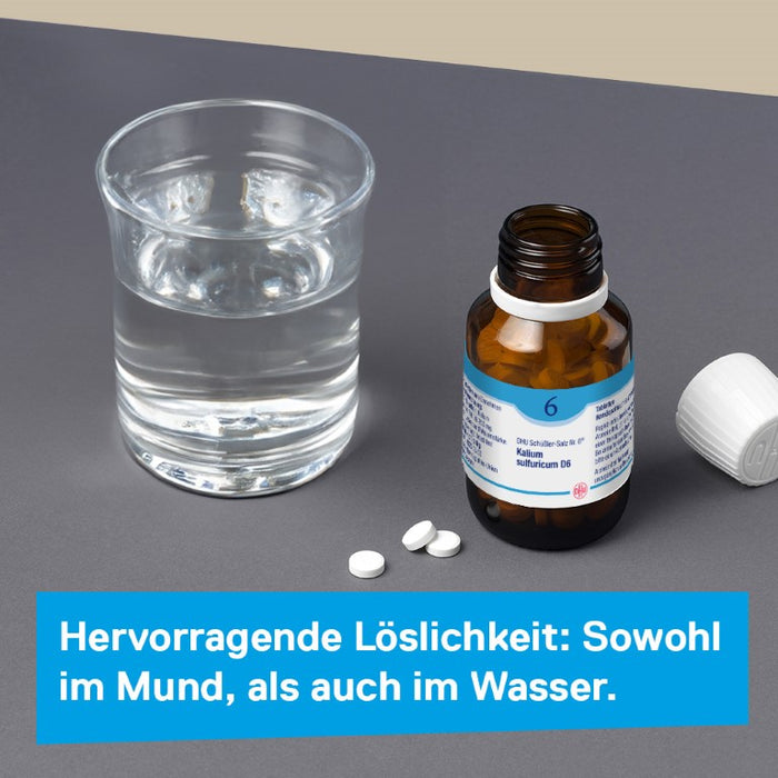 DHU Schüßler-Salz Nr. 6 Kalium sulfuricum D6 – Das Mineralsalz der Entschlackung – das Original – umweltfreundlich im Arzneiglas, 80 St. Tabletten