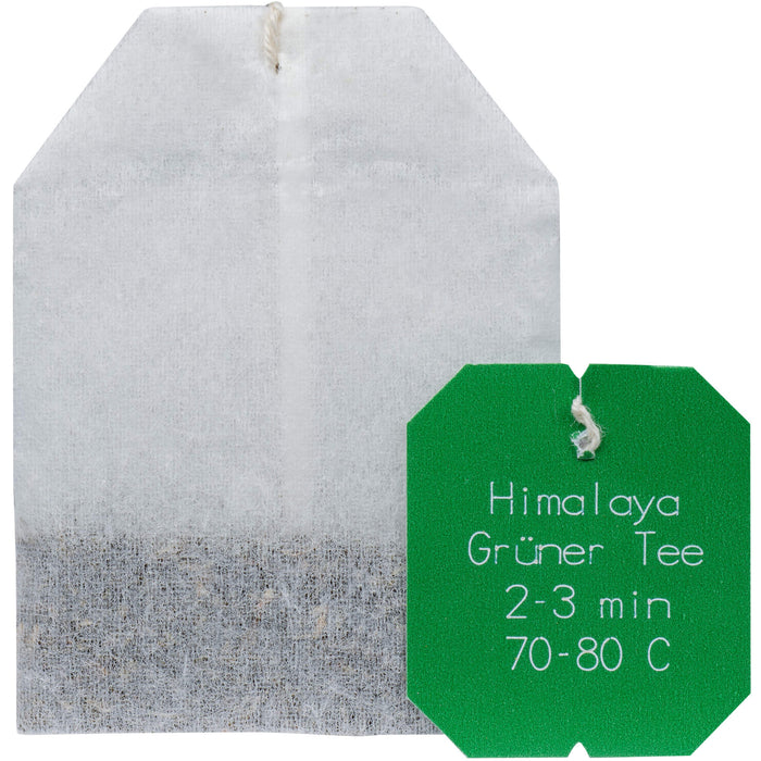 Grüner Tee Himalaya bio Salus, 15 St FBE