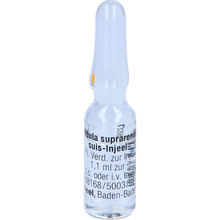 Glandula suprarenalis suis-Injeel Ampullen, 10 pcs. Ampoules