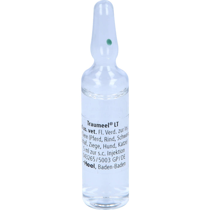 Traumeel LT ad us. vet., 5 St. Ampullen, 5 ml Solution