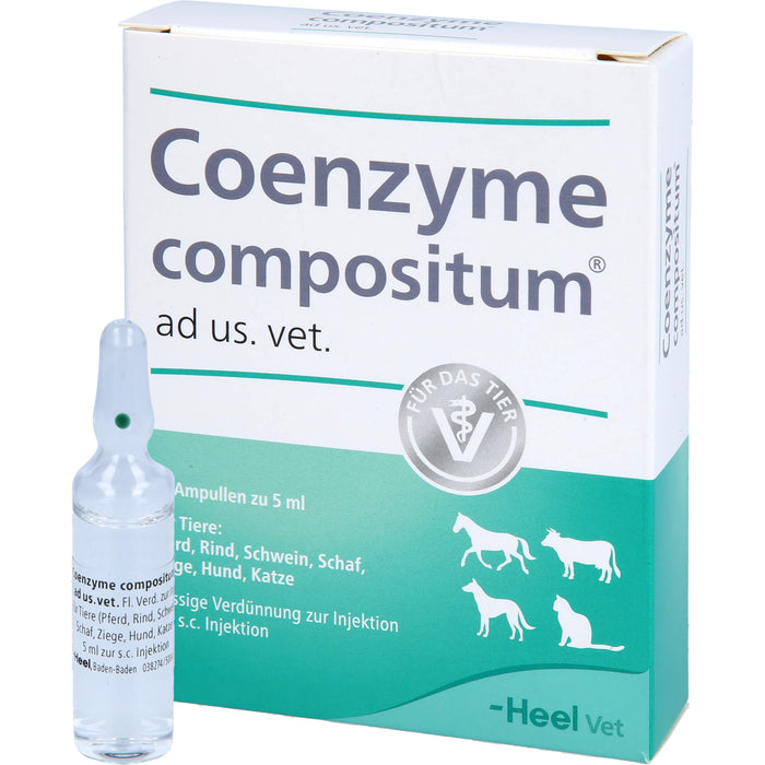 Heel Coenzyme compositum ad us. vet. Ampullen, 5 pcs. Ampoules