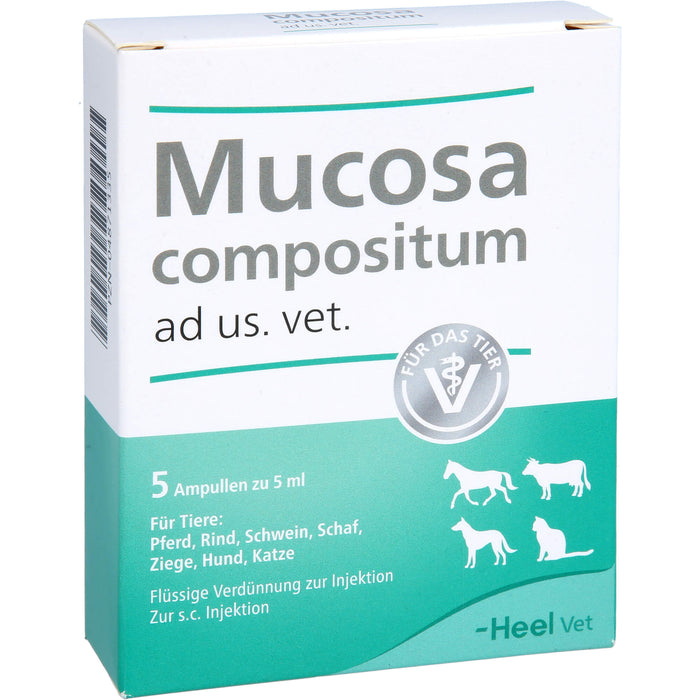 Heel Mucosa compositum ad us. vet. Ampullen, 5 St. Ampullen