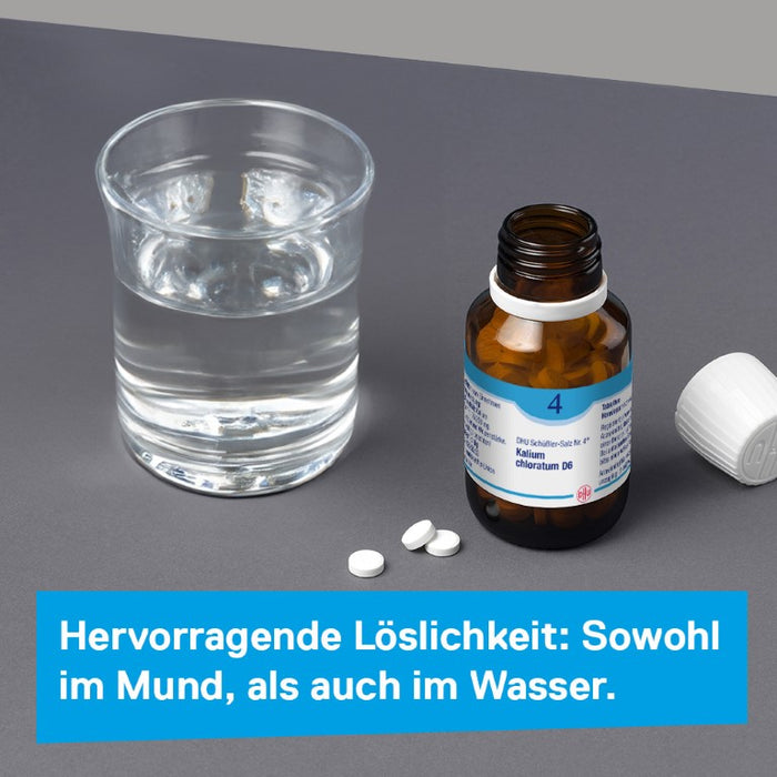 DHU Schüßler-Salz Nr. 4 Kalium chloratum D12 – Das Mineralsalz der Schleimhäute – das Original – umweltfreundlich im Arzneiglas, 200 pc Tablettes